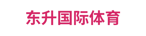 东升国际体育